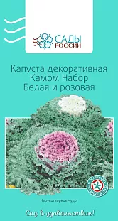 Капуста декоративная Камом Белая и розовая 5 шт Капуста декоративная Камом Белая и розовая 5 шт