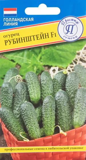 Семена Огурец Рубинштейн F1
