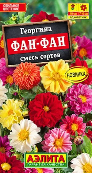 Семена Георгина Фан-фан смесь. Неприхотливая эффектная смесь с махровыми и полумахровыми цветками. Кустики высотой не более 40 см, на каждом одновременно распускается до 15 соцветий. Обильное цветение начинается раньше чем у остальных сортов, и продолжается до глубокой осени. Растения идеально подходят для выращивания в горшках, станут украшением клумб и палисадников. Высаженные возле места отдыха, они подарят хорошее настроение даже в самую пасмурную погоду!<br>
 <br>
 Георгина – растение тепло- и светолюбивое. Предпочитает хорошо дренированные, плодородные почвы нейтральной кислотности. К концу вегетации образует корнеклубни, которые можно заложить на хранение и использовать для посадки в следующем сезоне.<br>