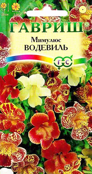 Семена Мимулюс Водевиль.
Многолетнее кустистое почвопокровное растение, выращиваемое как однолетнее, высотой до 25 см. 
Крупные, желтые цветы покрыты красными и темно-коричневыми пятнышками или полосками придающими растению веселый, праздничный вид.
Листья яйцевидные, по краю зазубренные. Цветки собраны в рыхлые кистевидные соцветия до 3 см в диаметре. Цветет в июне-июле. 
Предпочитает плодородную, рыхлую, влажную почву. Прекрасно растет как на солнце,так и в тени.
Семена высевают в марте, сеянцы содержат при умеренной температуре. В мае растения высаживают в открытый грунт, на расстоянии 20см.
Используют в клумбах, рабатках, бордюрах, в качестве почвопокровных на каменистых горках, в вазонах.