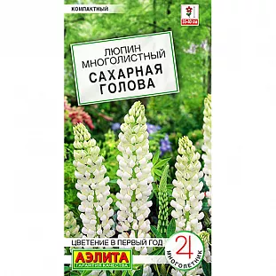 Семена Люпин Сахарная голова Семена Люпин Сахарная голова