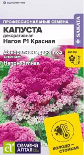 Капуста декоративная Нагойя красная F1 Капуста декоративная Нагойя красная F1