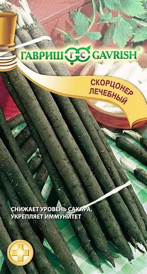 Скорцонера Лечебный