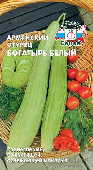 Семена Армянский огурец Богатырь белый