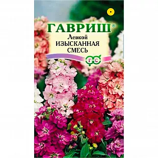 Левкой Изысканная смесь