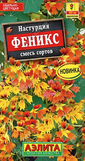 Настурция Феникс, смесь сортов из каталога Настурция Семена Настурция Феникс, смесь окрасок
Эффектная экзотическая смесь популярного летника. Обильно цветет с июня до конца сезона. Формирует сильноветвистые гибкие стебли длиной 200-300 см. Часть кустиков может быть с обычными цветками. Растения можно выращивать в ампельной форме, когда побеги, усыпанные цветками, образуют шикарные ниспадающие каскады. Можно выращивать как почвопокровные, тогда они сильно разрастаются в ширину, а также как вьющиеся, для вертикального украшения. Цветки и молодые листочки можно использовать в пищу, для декорации блюд.