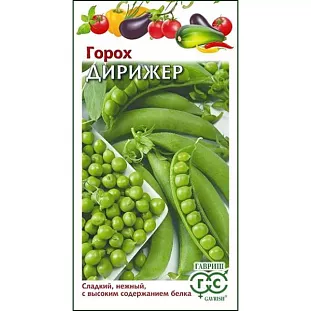 Семена Горох Дирижёр Семена Горох Дирижёр