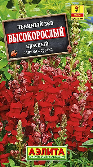 Семена Львиный зев Красный большой высокорослый.
Однолетник. Высота растения 90 см Львиный зев образует сильноветвистый куст высотой до 80 см, густо покрытый мелкими листочками. Его элегантные колосовидные соцветия в течение всего сезона украшают своим обильным цветением клумбы и рабатки, радуя глаз яркими красками. Растение используется для составления букетов и оформления цветочных композиций, срезанные соцветия долго стоят в вазе (около 1,5-2 недель). Эффектные цветки имеют легкий ненавязчивый аромат, что немаловажно для букета.