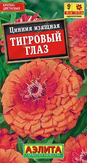 Семена Цинния Тигровый глаз. Яркий высокорослый сорт циннии с очень крупными махровыми соцветиями (диаметром 10-15 см). Кусты быстрорастущие, мощные, раскидистые, высотой до 90 см. Цветение обильное и длительное. Каждый цветок держится на растении до 35 дней. Используется в групповых и одиночных посадках в цветниках. Дает отличный материал для букетов, цветы долго стоят в воде.<br>
 <br>
 Циннии – растения теплолюбивые, быстрорастущие, относительно засухоустойчивые. Предпочитают солнечные участки с дренированными почвами среднего плодородия, нейтральной кислотности. В южных регионах возможен безрассадный способ выращивания.<br>