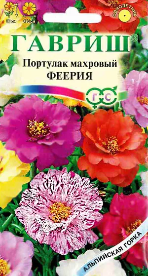 Портулак Феерия махровый из каталога Портулак Семена Портулак Феерия махровый.
Однолетнее стелющееся, сильноветвистое растение высотой 15-20 см. Побеги сочные, мясистые, светло-зеленые, иногда с красноватым оттенком. Листья мясистые, почти цилиндрические, мелкие, голые. Цветки одиночные, махровые, верхушечные, 4-6 см в диаметре, разнообразных оттенков. Цветки открываются только в ясные, солнечные дни. Цветет с июня до заморозков. Растение теплолюбивое, засухоустойчивое, очень светолюбивое, при малейшем затенении не цветет. Не переносит никаких удобрений и растет на сухой, песчаной и даже каменистой почве с минимальным поливом. Семена сеют на рассаду в феврале-марте поверхностно, прикрывают стеклом или пленкой, держат на свету. Всходы появляются через 7-14 дней. Пикируют в горшочки диаметром 5-6 см. Выращивают с очень умеренным поливом. По окончании заморозков высаживают на расстояние 15-20 см на цветники, каменистые горки.Высаживают в вазоны, контейнеры, ящики на балконы и лоджии, поверх подпорных стенок. На южных склонах.