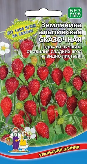 Семена Земляника (клубника) альпийская Сказочная