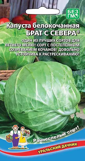 Семена Капуста белокочанная Брат с Севера