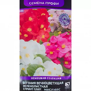 Бегония Макси Микс вечноцветущая зеленолистная