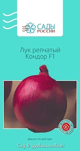 Лук репчатый Кондор F1