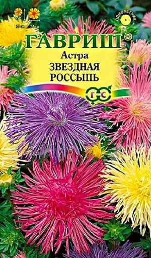 Семена Астра Звездная россыпь игольчатая<br>
 <br>
 Сорт карликовой астры высотой 20-25 см. Растение образует крепкий, компактный кустик, усыпанный пышными, лучистыми соцветиями, диаметром до 6 см, разнообразных окрасок. Цветет в августе-сентябре. Для выращивания подходят хорошо освещенные участки с плодородной суглинистой или супесчаной почвой. Астры обладают высокой холодостойкостью – хорошо переносят заморозки до -3-4°C. Выращивают, чаще всего, рассадным способом. Идеальны для оформления бордюров, сборных цветников и для озеленения балконов.<br>
 <br>