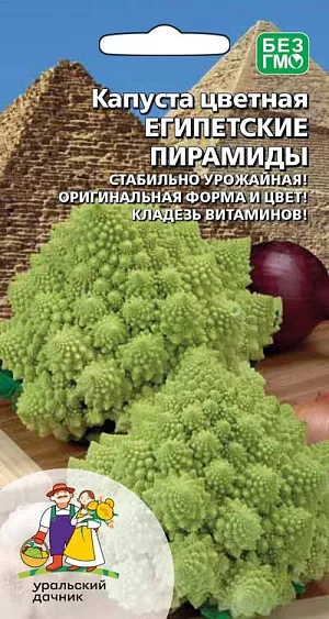 Семена Капуста цветная Египетские Пирамиды Семена Капуста цветная Египетские Пирамиды
