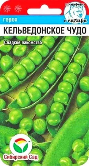 Семена Горох Кельведонское чудо