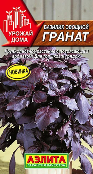 Семена Базилик овощной Гранат