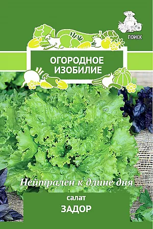 Семена Салат Задор