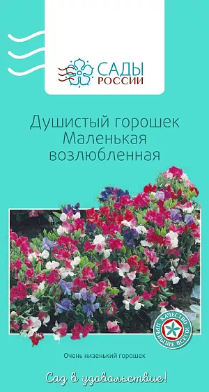 Душистый горошек Маленькая возлюбленная

Веселая пестрота окрасок – малиновых, алых, розовых, лиловых и белых – подчеркнет летнее настроение. Растения кустовые. Цветки ароматные, некрупные. Перед посевом семена замочить в воде на 10–12 часов, а субстрат обеззаразить малиновым раствором марганцовки. Выращивать рассаду лучше в теплице. Холодостойкий.
