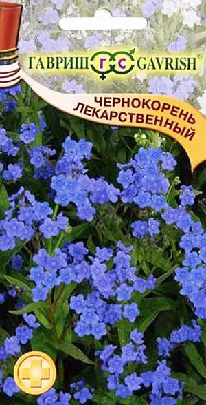 Чернокорень Лекарственный Чернокорень Лекарственный