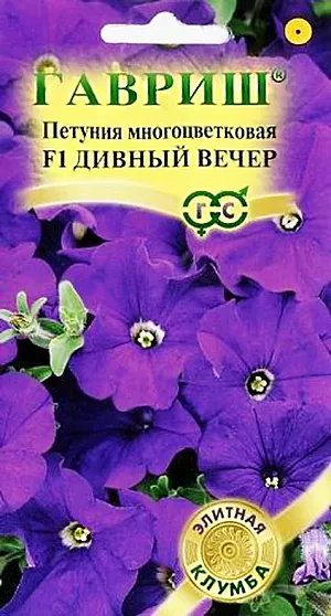 Семена Петуния Дивный вечер многоцветковая F1.
Роскошное однолетнее растение с высокой устойчивостью к стресс- факторам. Эта гибридная форма петунии имеет компактный кустик до 30-35 см. Цветки широковорончатые, бархатисто-синие, до 5,5-6,5 см в диаметре, с прочной фактурой, не страдают во время дождей. Посев проводят в марте. Всходы появляются через 7-12 дней. На постоянное место высаживают, когда минует опасность заморозков. Светолюбива и достаточно засухоустойчива. Предпочитает легкие, плодородные, хорошо дренированные почвы. Украсит контейнеры, вазы, подоконники, рабатки, бордюры. Используется как фоновая и балконная культура.