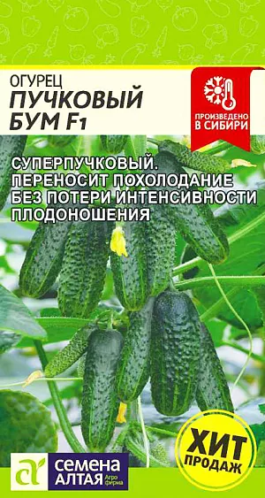 Семена Огурец Пучковый Бум Семена Огурец Пучковый Бум