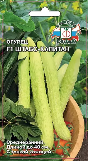 Семена Огурец Штабс-капитан F1