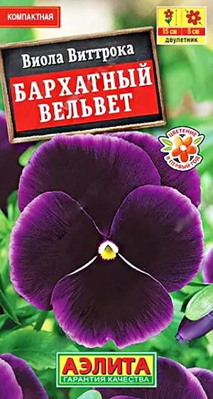 Семена Виола Бархатный Вельвет.
Эта виола с крупными цветками необыкновенно насыщенного цвета на протяжении длительного времени будет радовать своей красотой в любом уголке сада: на клумбах, бордюрах и альпийских горках. Не менее эффектно она выглядит и при оформлении контейнеров и вазонов. Растение необычайно зимостойкое, обильноцветущее, прекрасно переносит пересадку в цветущем состоянии.
Агротехника. Для цветения в год посева семена высевают на рассаду в первых числах марта, всходы появляются через неделю. Пикировка в фазе двух настоящих листьев. В открытый грунт рассаду высаживают, не дожидаясь сроков окончания возвратных заморозков. При посеве в открытый грунт в июне-июле цветет на следующий год. Растениям необходимы регулярные поливы, прополки, рыхления и подкормки.