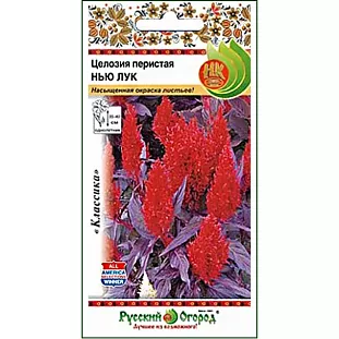 Целозия перистая Нью Лук Целозия перистая Нью Лук