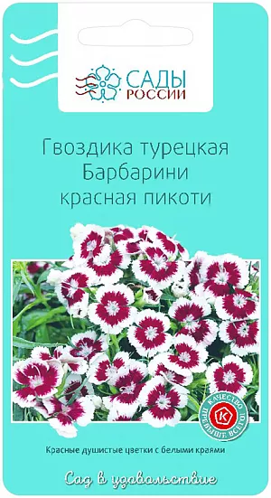 Семена Гвоздика Барбарини красная пикоти турецкая.
Красные душистые цветки с белыми краями, собраны в плотные соцветия. Цветение начинается в июне-июле. Ширина растения достигает 30 см. Каменистые горки, ящики, края дорожек и цветников – самое лучшее место для посадки.