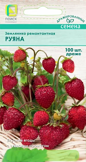 Семена Земляника (клубника) ремонтантная Руяна драже