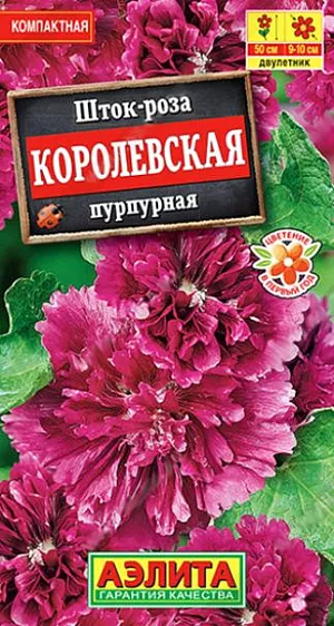 Семена Шток-роза Королевская пурпурная. Сорт формирует компактные, аккуратные кусты высотой всего 50 см. – что весьма необычно для преимущественно высокорослых шток-роз. Цветет в год посева, что также необычно для двулетников, к которым причисляют шток-розы. Цветки диаметром 9-10 см, махровые, оригинальной формы, с изрезанным краем лепестков, с тонким, приятным ароматом. Растения пышно цветут с июля по сентябрь. Используются для оформления клумб, рабаток, миксбордеров, контейнеров. Срезанные соцветия великолепно распускаются в воде до последнего бутона.<br>
 <br>
 Посев семян проводят в отдельные горшки, так как растение плохо переносит пикировку. Шток-роза предпочитает солнечные участки с плодородными, глубоко обработанными, дренированными почвами нейтральной кислотности. Желательна подвязка цветущих стеблей.<br>