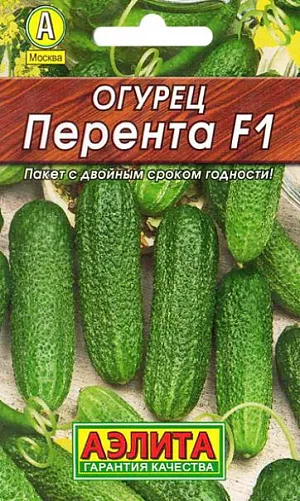 Семена Огурец Перента F