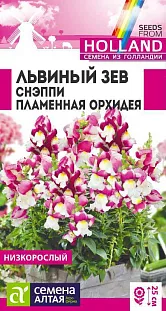 Семена Львиный зев Снэппи Пламенная орхидея/Сем Алт/цп 7 шт. Семена Львиный зев Снэппи Пламенная орхидея/Сем Алт/цп 7 шт.