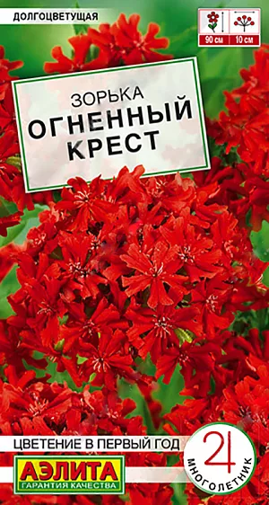 <div>
 Семена Зорька Огненный крест.
</div>
 Эффектное многолетнее растение с яркими огненно-красными цветками. Неприхотливое, зимостойкое, с обильным и продолжи тельным цветением (что достаточно редко для многолетников). Крепкие стебли высотой 80-90 см, несут большое количество соцветий диаметром  9-10 см. Зорька красиво смотрится в цветниках, особенно с контрастными сочетаниями цветов других видов. Впечатляюще выглядят высокие бордюры из неё вдоль дорожек. Она легка в уходе, и вырастить её сможет даже начинающий садовод.<br>
 Для цветения в первый год посев проводят в феврале. Плошки с семенами хорошо увлажняют и помещают в холодильник для стратификации. В марте плошки переносят в теплое место с температурой +18...+20 °С. В фазе пары настоящих листьев сеянцы пикируют в отдельные горшочки. Высаживают закаленную рассаду в конце мая.<br>