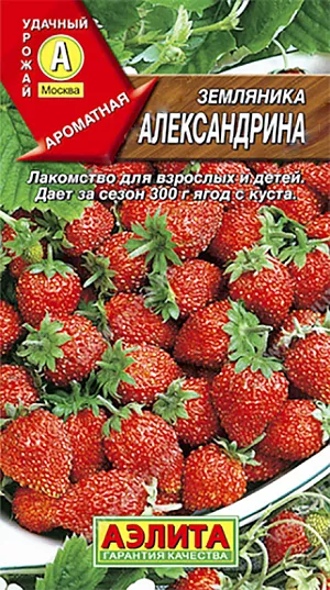 Семена Земляника (клубника) Александрина