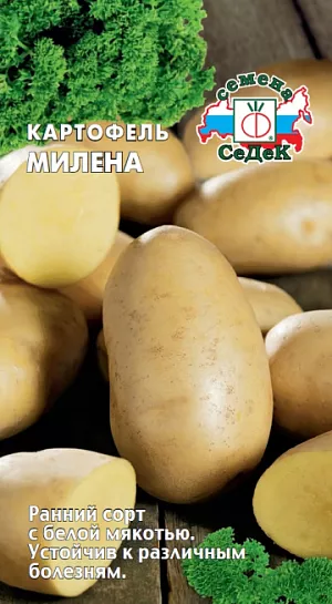 Семена Картофель Милена Семена Картофель Милена