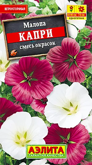 <div>
 Семена Малопа Капри смесь.
</div>
<p>
 Высота растения 60-90 см.
</p>
<p>
 Диаметр цветка 7-8 см.<br>
</p>
<p>
 Симпатичный, неприхотливый летник с прочным ветвистым стеблем высотой 60-90 см. Цветки воронковидные, крупные, диаметром до 8 см, образуются в пазухах листьев. Цветет обильно с конца июня до осенних заморозков. Растение светолюбивое, холодостойкое, нетребовательное к почве, но лучше развивается на плодородных участках с достаточным увлажнением. Благодарно реагирует на периодические подкормки полным минеральным удобрением. Своевременное удаление увядающих цветков стимулирует образование новых. Рекомендуется для выращивания группами, в составе миксбордера, для декорирования заборов, стен. Пригодна для срезки в сборные букеты.
</p>
<p>
</p>
<p>
 Посев непосредственно в грунт в самые ранние сроки весной. Можно посеять в начале апреля на рассаду в горшочки, а в мае высадить на постоянное место, с шагом 30-35 см.
</p>