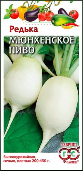 Семена Редька Мюнхенское пиво