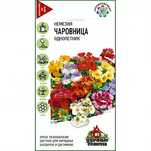 Немезия Чаровница Немезия Чаровница