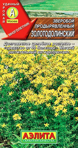 Зверобой Золотодолинский