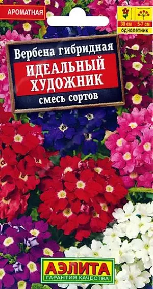 Семена Вербена Идеальный художник смесь. Красивая смесь вербены раннего и длительного цветения. Растения кустистые, быстрорастущие, высотой не более 30 см. Ароматные яркие цветки собраны в плотные крупные соцветия  диаметром 5-7 см. Смесь прекрасно выглядит в групповых посадках в цветниках и бордюрах, а также в контейнерах на балконах. <br>
 <br>
 Вербена предпочитает солнечные участки с хорошо дренированными почвами среднего плодородия, с нейтральной кислотностью. Растения холодостойкие, засухоустойчивые. В любой стадии развития плохо реагируют на избыточную влажность грунта.<br>