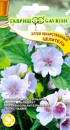Алтей лекарственный Целитель Алтей лекарственный Целитель