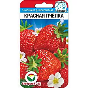Семена Земляника (клубника) Красная пчелка