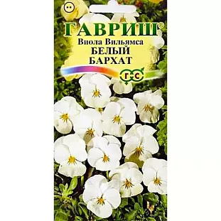 Семена Виола Белый бархат F1