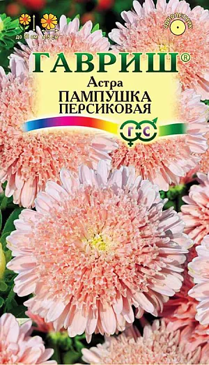 Семена Астра Пампушка персиковая из каталога Астра Семена Астра Пампушка персиковая.
Растение высотой 50 см. Соцветия полусферические, лососево-розовой окраски, диаметром 4-5 см.
Для выращивания подходят хорошо освещенные участки с плодородной суглинистой или супесчаной почвой.
Астры обладают высокой холодостойкостью – хорошо переносят заморозки до -3-4оС.
Выращивают, чаще всего, рассадным способом. Семена высевают в марте-апреле, пикируют с развитием первой пары настоящих листочков по схеме 5х5 см, в открытый грунт рассаду высаживают с середины мая до начала июня.
Возможен подзимний посев астр: в конце октября на глубину 5-8 см. Сверху посевы мульчируют торфом или опилками на высоту 3-5 см.
Весной (в конце марта-начале апреля) посевы раскрывают.
Появившиеся в конце апреля всходы будут закаленными, а выросшие растения сильными, устойчивыми к заморозкам и обильно цвести.
Используются для получения срезки и оформления участка.