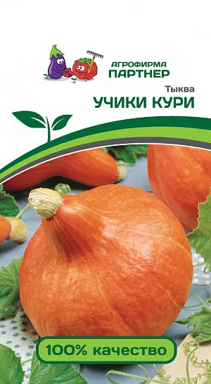 Семена Тыква Учики Кури