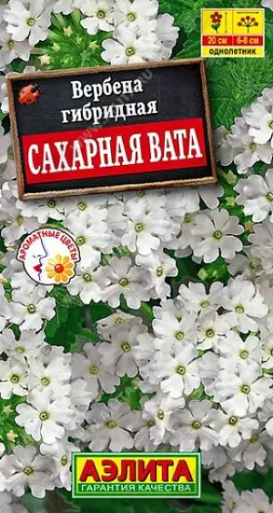 Семена Вербена Сахарная вата из каталога Вербена <div>
Семена Вербена Сахарная вата.
</div>
<p>
Однолетник. Высота 20 см. Диаметр 6-8 см.
</p>
<p>
<br>
</p>
<p>
Превосходный обильно цветущий однолетник с приятным ароматом. Кустики прямостоячие, высотой около 20 см, компактные. Мелкие цветки собраны в соцветия-щитки Ø6-8 см. Цветение раннее, обильное и продолжительное. Растения неприхотливые, холодостойкие и относительно засухоустойчивые. Используются для оформления цветников и контейнерного выращивания.
</p>
<p>
<br>
</p>
<p>
Посев. Выращивают через рассаду. Семена прорастают в течение трех недель. Всходы плохо реагируют на избыточную влажность. В фазе одной пары настоящих листьев сеянцы пикируют. Рассаду высаживают с середины мая. Вербена предпочитает солнечные участки с дренированной почвой нейтральной кислотности.
</p>