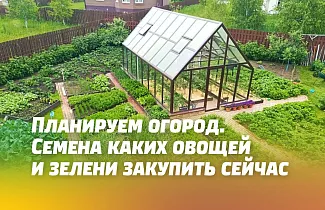 СЕМЕНА КАКИХ ОВОЩЕЙ И ЗЕЛЕНИ СЕЙЧАС ЗАКУПИТЬ ДЛЯ ТЕПЛИЦЫ И ОТКРЫТОГО ГРУНТА НА СВОЕМ ОГОРОДЕ СЕМЕНА КАКИХ ОВОЩЕЙ И ЗЕЛЕНИ СЕЙЧАС ЗАКУПИТЬ ДЛЯ ТЕПЛИЦЫ И ОТКРЫТОГО ГРУНТА НА СВОЕМ ОГОРОДЕ